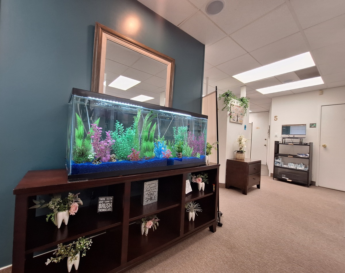 Camarillo Premier Dental - Office